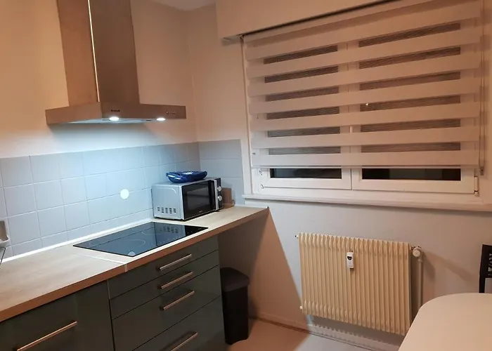 Le Bellevue * 科尔马