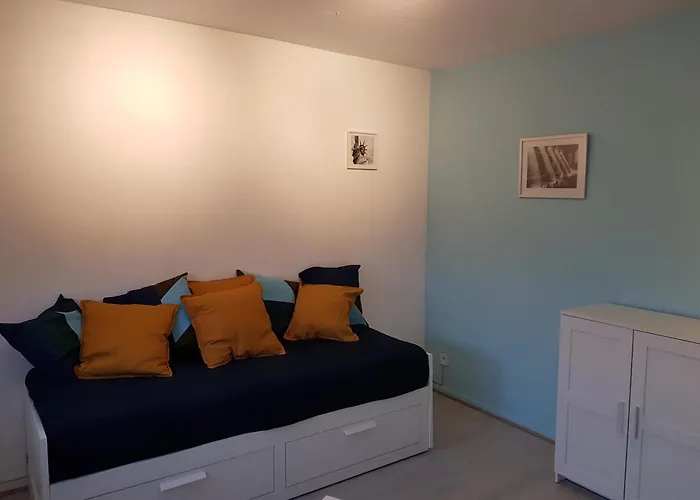 公寓 Le Bellevue 科尔马