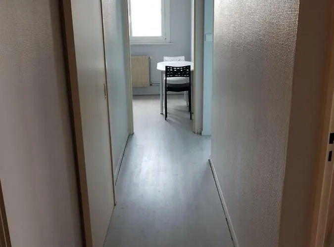 公寓 Le Bellevue 科尔马